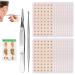 1200 Ear Seeds Graines D'Oreille Avec Un Tableau D'Acupuncture Auriculaire Une Pince Piler Et Une Sonde Pour D Bloquer Les M Ridiens De L'Oreille D Tendre L'Esprit Et Le Corps Soulager La Fatigue