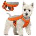 Hjumarayan cooling vest for dogs cooling vest dog with D-rings summer cooling coat for dog cooling hardware Breathable dog vest dog cooling vest for hot summer days orange m orange