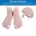 6 Pairs Toe Separators & Bunion Correctors for Women and Men - Elastic Toe Plates - Buy Online on GoSupps.com