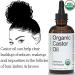 Organys Organic Castor Oil 2oz for Hair, Eyelashes & Eyebrows Growth - Enhances Fuller, Thicker Appearance. Includes Eyeliner & Mascara Brushes - Buy Online on GoSupps.com