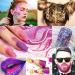 Buy BOSDONTEK 12 Boxes Glitter for Nail Face & Body - Makeup Art & Festival Decoration | International Shipping Available - Buy Online on GoSupps.com