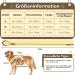 Buy Multi-Purpose Dog Harness with Leash Set - Outbreak-Proof & Anti-Train for Small to Medium Dogs (Beige M) - International Shipping Available - Buy Online on GoSupps.com