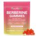 NIFEISHI Berberine Supplement (Sugar-Free) Berberine Gummies with Ceylon Cinnamon Milk Thistle for Metabolism Energy Gut Health Vegan Non-GMO Gluten Free - Watermelon Flavor 60 Gummies