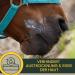 Zinc Ointment for Horses Dogs & Cats - 250ml Wound Healing Cream & Eczema Relief - Buy Online on GoSupps.com