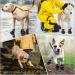 Waterproof Dog Shoes for Large Medium Dogs - Winter Snow Booties with Adjustable Straps and Anti-Slip Sole - Outdoor Pet Boots for Paw Protection - Black - Buy Online on GoSupps.com