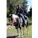 TrailMax Medium Overnighter Saddlebag System - Insulated Horn Bags, Cantle Bag & Saddle Bags for Western & Endurance Saddles (Brown) - Buy Online on GoSupps.com