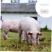 MAGICLULU 2pcs Pregnant Tester Cow Pregnancy Test Paper Pig Pregnancy Test Strips Livestock Pregnant Detection Tool Pig Pregnancy Diagnosis Tester Farm Supply Test Card Animal White Plastic White 1 count (Pack of 1) - Buy Online on GoSupps.com