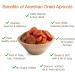 Arashan Apricots - Premium Dried Fruit from Kyrgyzstan | Pitted & Unsweetened (1 lb) - Buy Online on GoSupps.com