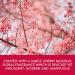 Boudoire Cherry Blossom Luxury Bathing Treats Gift Set - Vegan Friendly - Buy Online on GoSupps.com