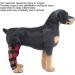 Dog Knee Brace for Cruciate Ligament Injury Joint Pain and Muscle Sore with Better Recovery Adjustable Rear Leg Braces (XXS) - Buy Online on GoSupps.com
