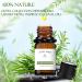 Elegant Charisma Hotel Diffuser Oil - 10ML Pure Cedarwood & Sandalwood Essential Oil | Inspired by Shangri-La Hotel Collection - International Shipping Available - Buy Online on GoSupps.com
