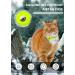 Buy Luminous Yellow Airtag Cat Neck Band | Reflective Kitten Collar with Bell | Light Tracker for Young Cats - Buy Online on GoSupps.com