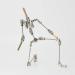 CINESPARK PMA-28 DIY Stainless Steel Professional Armature for Stop Motion Character Puppet - Buy Online on GoSupps.com