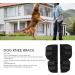 2 Pcs Black Adjustable Elastic Mesh Fabric Dog Leg Splint Brace Knee Brace for Dogs Reducing Posterative Pain (MB Cup) Coupe MB - Buy Online on GoSupps.com