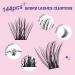 Crislashes Eyelash Extensions Kit - 144PCS D Curl Mix 8-16mm with Glue Remover & Applicator Perfect for Beginners | 1 Pack 5PCs - Buy Online on GoSupps.com