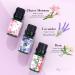 ASAKUKI Floral Essential Oils Set - Jasmine, Ylang Ylang, Rose, Lavender, Cherry Blossom, Gardenia - 10ml Premium Fragrance Oil for Aromatherapy, Hair Care, Candle & Soap Making - Buy Online on GoSupps.com
