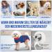 Eyein Dog Bodysuit: Soft Breathable Post-Op Wound Protection Onesie for Dogs - Zipper & Belt E-Collar Alternative (Red/Blue Medium) - Buy Online on GoSupps.com