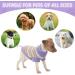 Jodsen Small Dog Jumper Knitted Dog Pullover Warm Puppy Sweater Knitwear Cat Puppy Turtleneck Knitting Sweater Autumn Winter Puppy Stripe Sweater Welsh Corgi Yorkshire Terrier Chihuahua (M Purple) M Purple - Buy Online on GoSupps.com