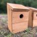 Wooden Multi-Hole Wild Bird Classic Nest Box Birdhouse (Pack of 2) - Buy Online on GoSupps.com