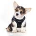 Funfox dog harness Small dogs no pull puppy harness adjustable dog harness Anti Zug safety harness Small medium dog breast harness dog breathable dog harness black s