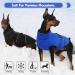Kuoser Winter Dog Coat - Reflective Jacket for Small Dogs | Warmth & Comfort in Blue-Orange - Buy Online on GoSupps.com