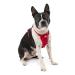 Kurgo Tru-Fit Dog Harness Crash Tested Car Seat Belt For Dogs 2 to 5 kg Size XS Red Red XS