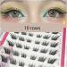 Self-adhesive false eyelashes lengthen the eye tail effect enlarge the eyes and make the eyes look segmented 1 count (Pack of 1) - Buy Online on GoSupps.com