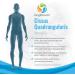 Cissus Quadrangularis Extract Capsules - Joint and Tendon Support Supplement | Reduce Pain & Promote Bone Health | 180 Vegetarian Pills - Buy Online on GoSupps.com
