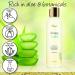 Deluvia Clarifying Toner - Hydrating Alcohol-Free Face Toner for Sensitive Dry & Aging Skin - Pore Cleanser for Men & Women - Buy Online on GoSupps.com