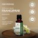 Frangipani Oil -(Plumeria Alba)- Essential Oil 100% Pure Natural Undiluted Uncut Therapeutic Grade Oil 0.16 Fl.Oz To 33.81 Fl.Oz By Sheer Essence (FRANGIPANI OIL 10ML (0.33 FL.OZ)) - Buy Online on GoSupps.com