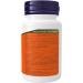 Now Foods Ulcetrol w/Zinc L-Carnosine Mastic Gum 60tab - Buy Online on GoSupps.com