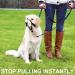 Morlevivi Dog Head Collar The Gentle Leader of Large Dogs.A Tension-Free Training Tool for Walking Dogs.Adjustable Dog Collar - Buy Online on GoSupps.com