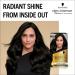 Schwarzkopf Oleo Intense Permanent Intense Black Hair Color - 115g (Pack of 1) - Buy Online on GoSupps.com