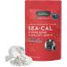 Animal Essentials Seaweed Calcium For Dogs + Cats 12 oz (340 g)