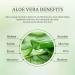 Aloe Vera Gel Aloe Vera Body Lotion For Women & Men Hydrating Body Lotion For Extremely Dry Skin Intense Hydration & Nourishment Non-Greasy Fast Absorbing Formula Moisturizers for Face Hand Foot - Buy Online on GoSupps.com