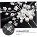 Ipetboom 1pc Hairpin Bridal Hair Bridesmaid Hair Clip Women Headdress Hair Barrettes for Women Wedding Hair Comb Pearl Kids Hair Accessories Bride Hair Decor Alloy Child Hair up Rhinestones - Buy Online on GoSupps.com