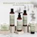 Tisserand Aromatherapy - Nature's Spa Comforting Body Wash - 100% Natural Pure Essential Oils - Bergamot and Sandalwood - 250ml - Buy Online on GoSupps.com