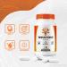 (2 Pack) Nerve Force Premium Neuropathy Blend for Brain Nerves & Concentration | NerveForce Capsulas for Memory Focus & Clarity | Easy-to-Take for Daily Support 60 Day Supply (120 Capsules) - Buy Online on GoSupps.com