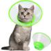 Vivifying Pet Neck Brace - Adjustable Lightweight Protective Collar for Puppies Small Dogs & Cats (11.9-14.4 cm Green-S) | International Shipping - Buy Online on GoSupps.com