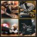 50PCS LEEYUKA Tattoo Needles Assorted Size - 3RL, 5RL, 7RL, 9RL, 10 and 3RS, 5RS, 7RS, 9RS, 5M1, 7M1 - Buy Online on GoSupps.com