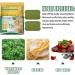 JIAWEIIY Natural Health Wormwood Body Pads Bodiluvs Wormwood Burning Foot Patch Wormwood Foot Patch Wormwood Body De_toxing Pads Natural Herb Wormwood Foot Pads (96PCS) - Buy Online on GoSupps.com