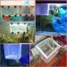 2 Pack Large Mesh Aquarium Fish Breeder Box - Fry Nursery Net for Baby Fish & Shrimp - Tank Divider for Guppy, Clownfish & Aggressive Fish - Buy Online on GoSupps.com