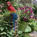 Garden Outdoor Decorative Resin Craft Simulation Parrot Decoration Ornaments Outdoor Garden Parrot Pendant Bird Animal Sculpture Decor Ornament - Buy Online on GoSupps.com