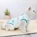 1 Piece Cat Recovery Suit Cat Post Surgery Bodysuit Cat Clothes for Cats Only Specially Designed for Cat Recovery - Buy Online on GoSupps.com