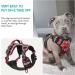 Heele Adjustable No-Pull Dog Harness | Reflective & Breathable for Small Dogs | XS (Chest 33-43cm) | Black-Red - Buy Online on GoSupps.com