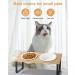 Zawaer Raised Cat Bowls 15 Tilted Cat Food Bowl Wooden Ceramic Cat Bowl Cat Feeding Station Anti Vomiting Cat Bowls With Stand High Cat Bowl Anti-Slip Pet Feeding Bowl For Cats And Puppies. 2er - Buy Online on GoSupps.com