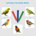 Buy PATICIL 1.1x13.9 Blue Bird Paw Perch Stand - Perfect Cage Accessories for Small Birds Parrots & Lovebirds - International Shipping Available - Buy Online on GoSupps.com