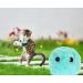 Buy PUPPBUDD Interactive Cat Toy with Catnip - Electric Sound Ball for Cats | Blue - International Shipping Available - Buy Online on GoSupps.com