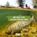 Feeder Creek Squirmy Wormy Bead Head Fly Fishing Lures - Size 12 | Ideal Trout, Bass, Steelhead, Salmon | Red Color - Buy Online on GoSupps.com