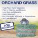 Grandpa's Best Orchard Grass Bale 10lb - Premium Quality Hay for Small Animals - Buy Online on GoSupps.com